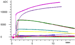 Various kinetic dependencies of horse-radish peroxidase in different conditions